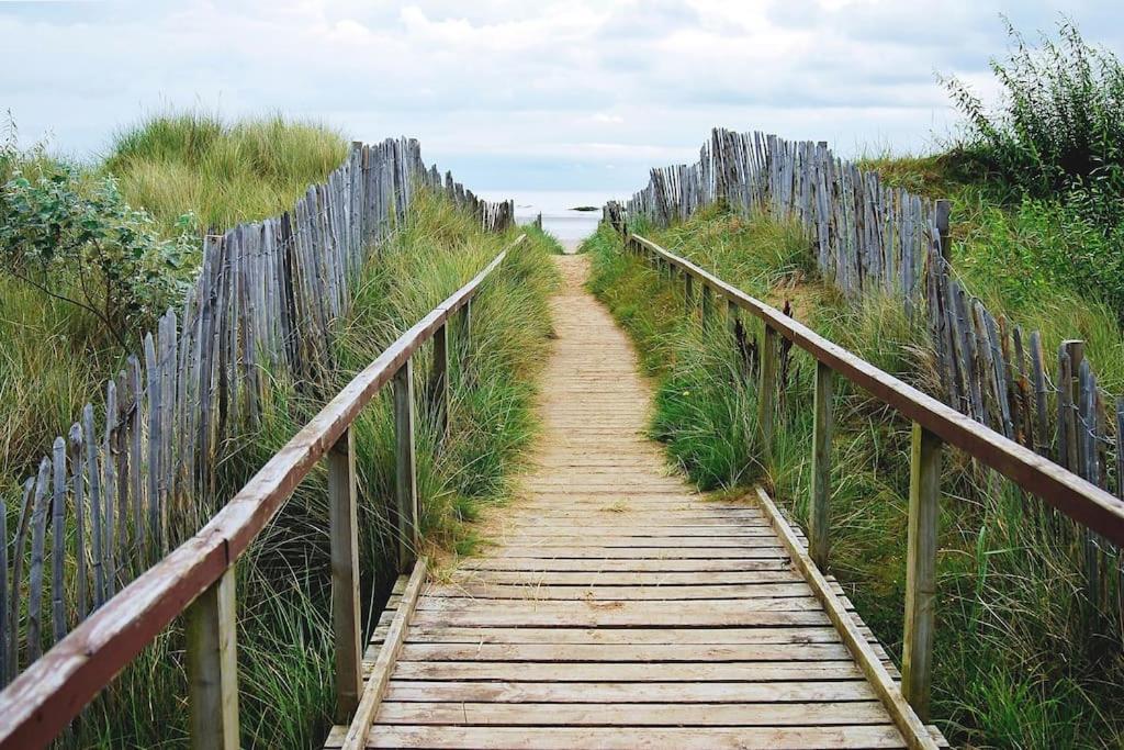 Lovely House & Garden, Short Walk To Town & Beach. St Andrews Eksteriør billede